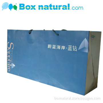 Luxury Paper Bag/ Gift Bag/ Promotional Paper Bag